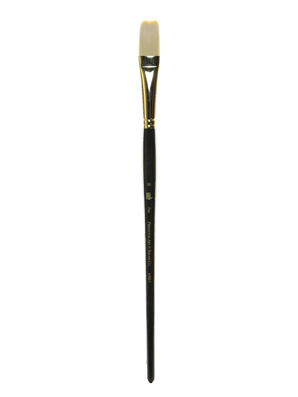 Series 6300 Dakota Synthetic Bristle Long Handle Brushes 10 flat