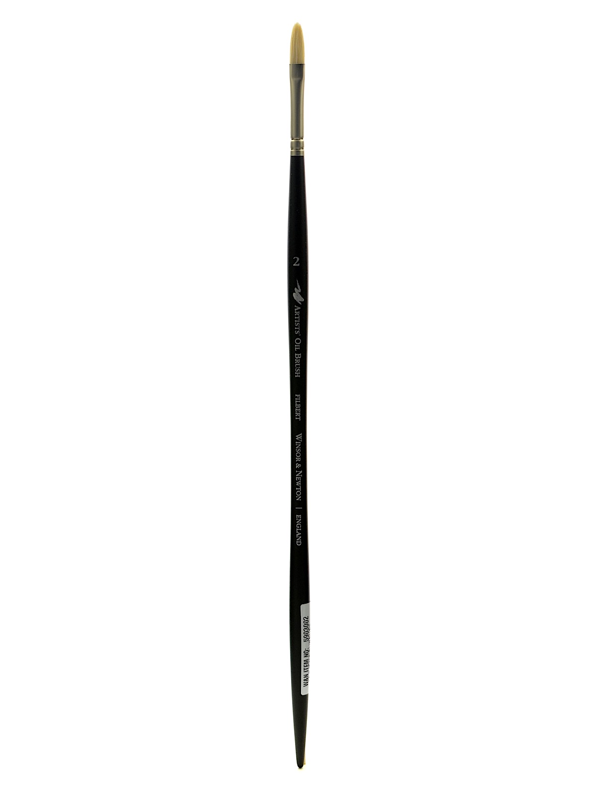 Artists' Oil Brushes 2 filbert