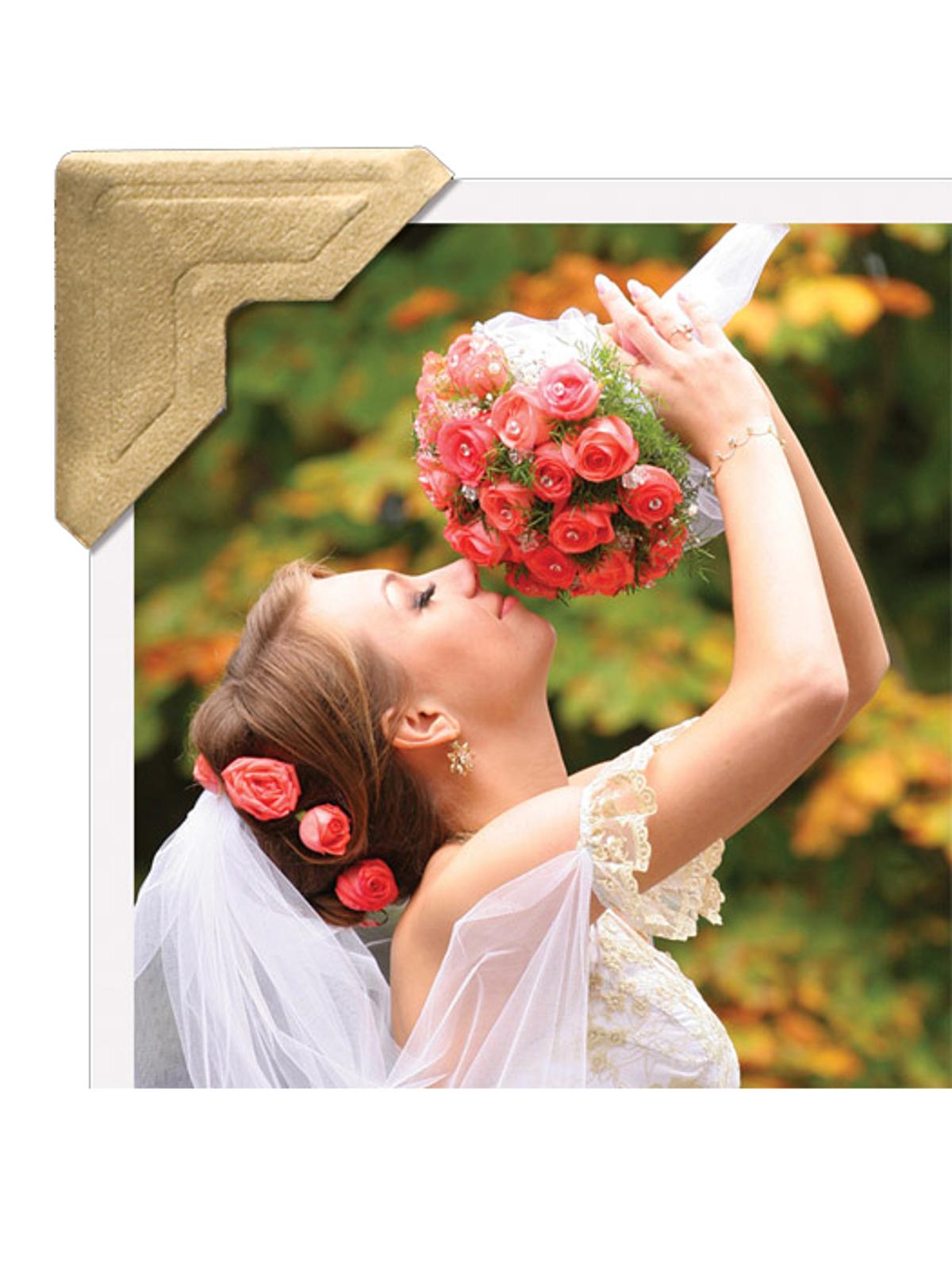 Infinity Paper Photo Corners gold pack of 252