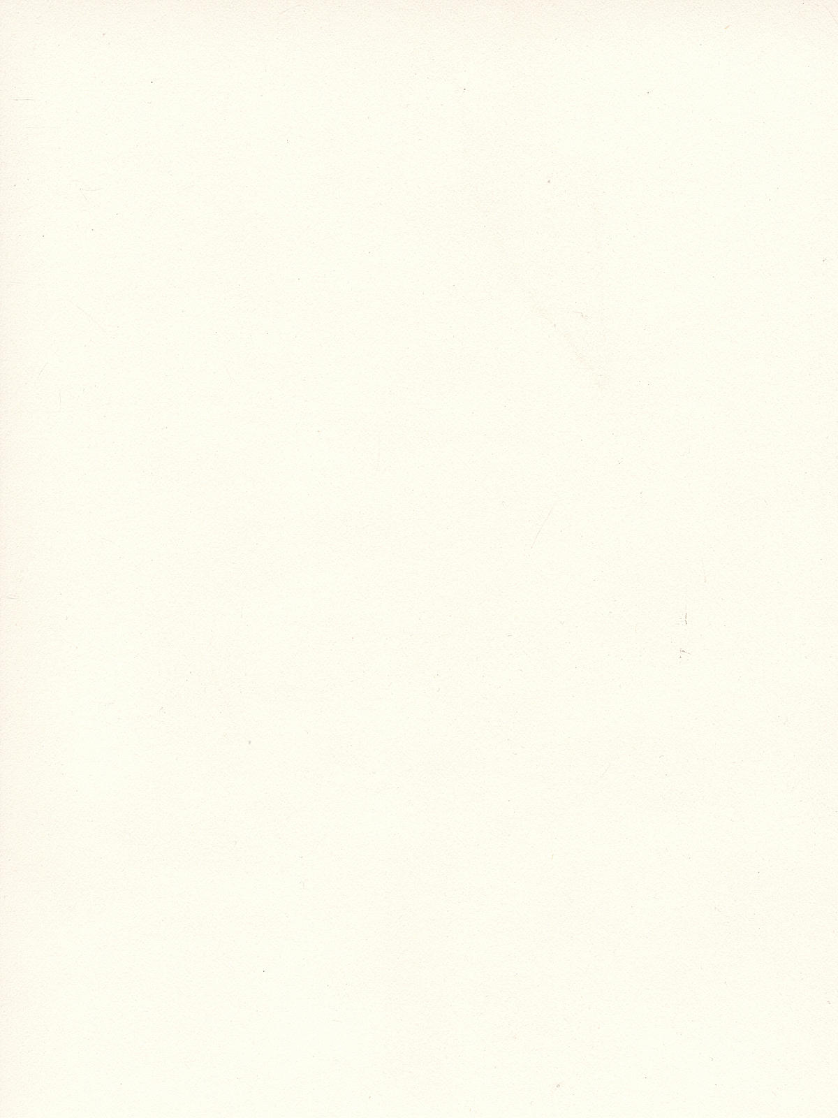 500 Series Bristol vellum 2 ply 23 in. x 29 in. sheet