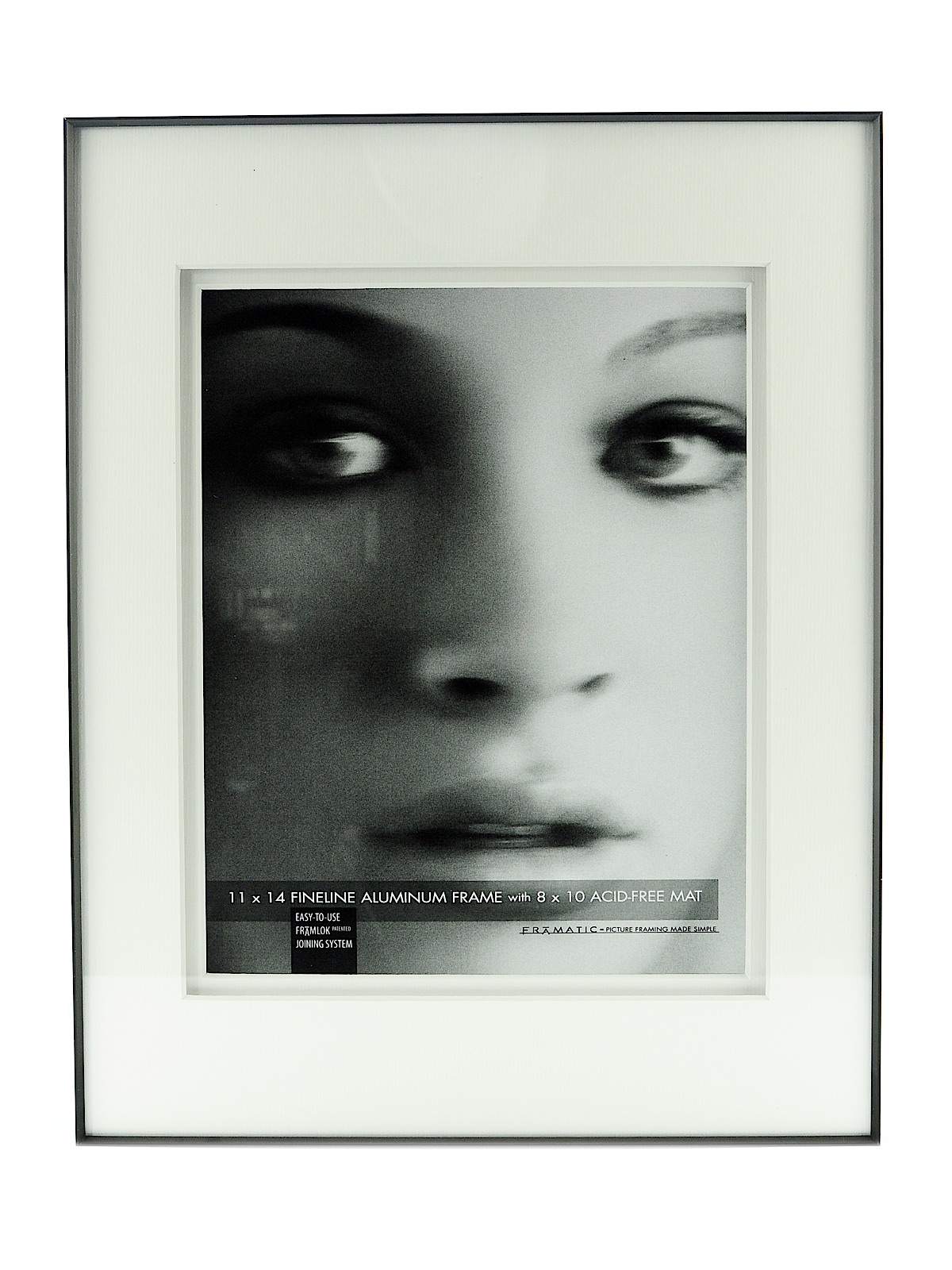 Double Matted Fineline Aluminum Frames 11 in. x 14 in. 8 in. x 10 in. opening