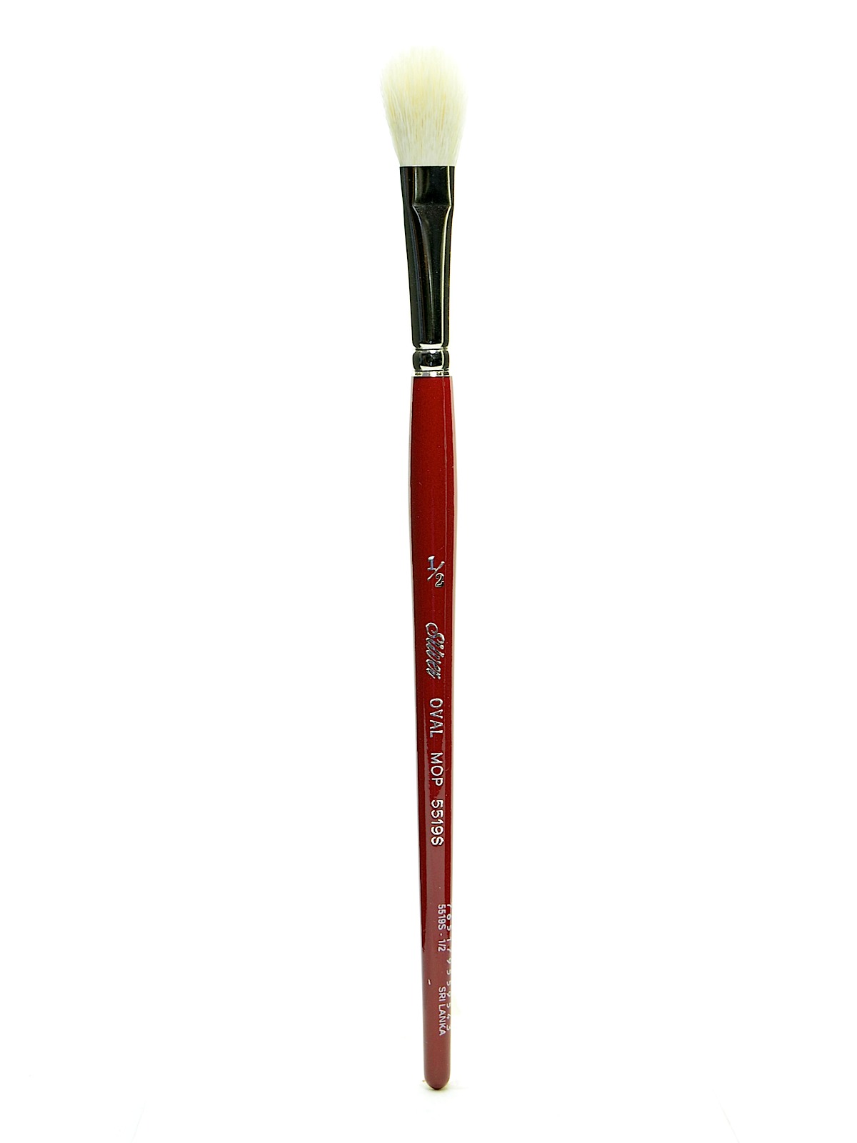 White Round Oval Mop Brushes 1 2 in. oval mop