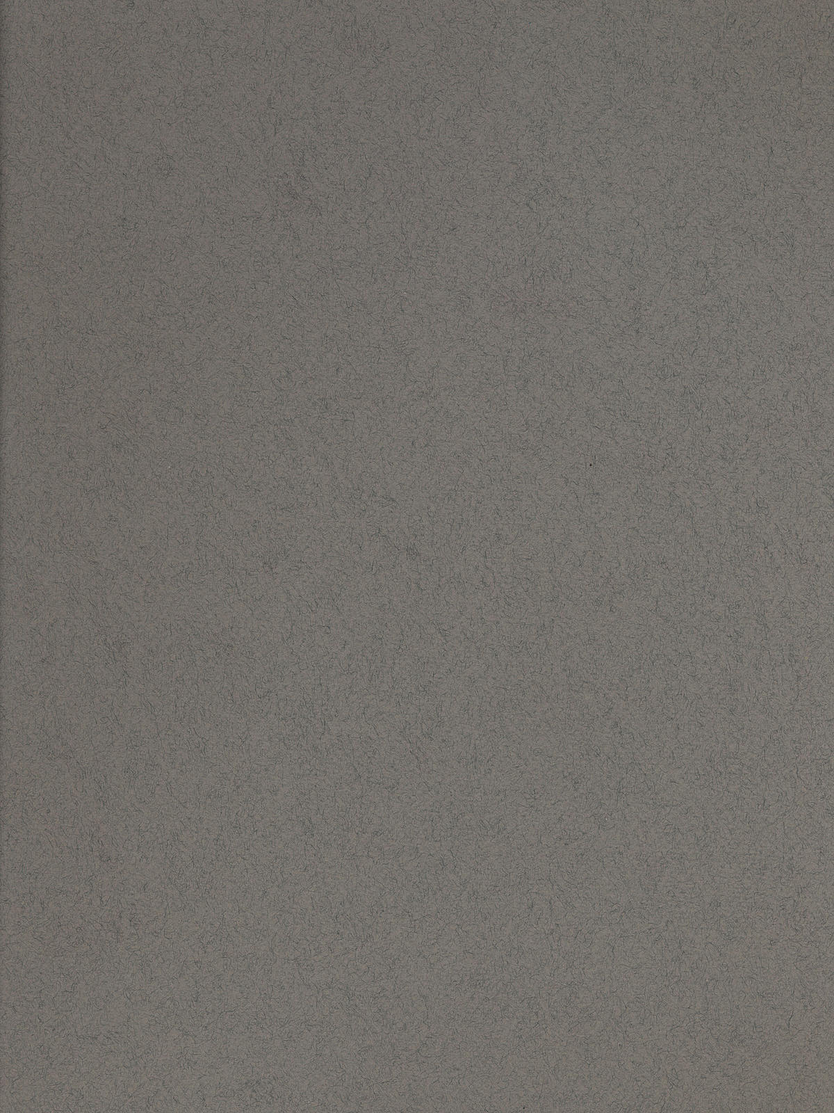 Tiziano Drawing Paper Steel Gray