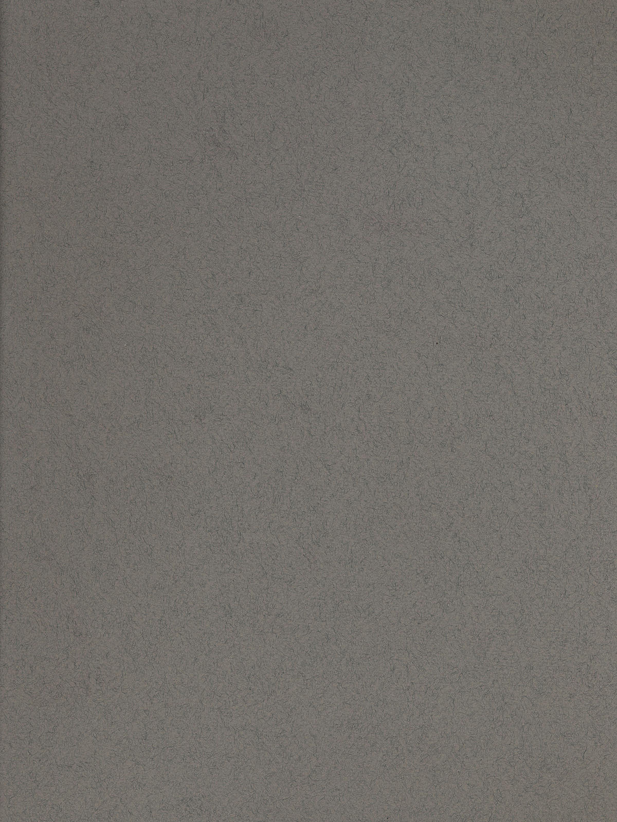 Tiziano Drawing Paper steel gray