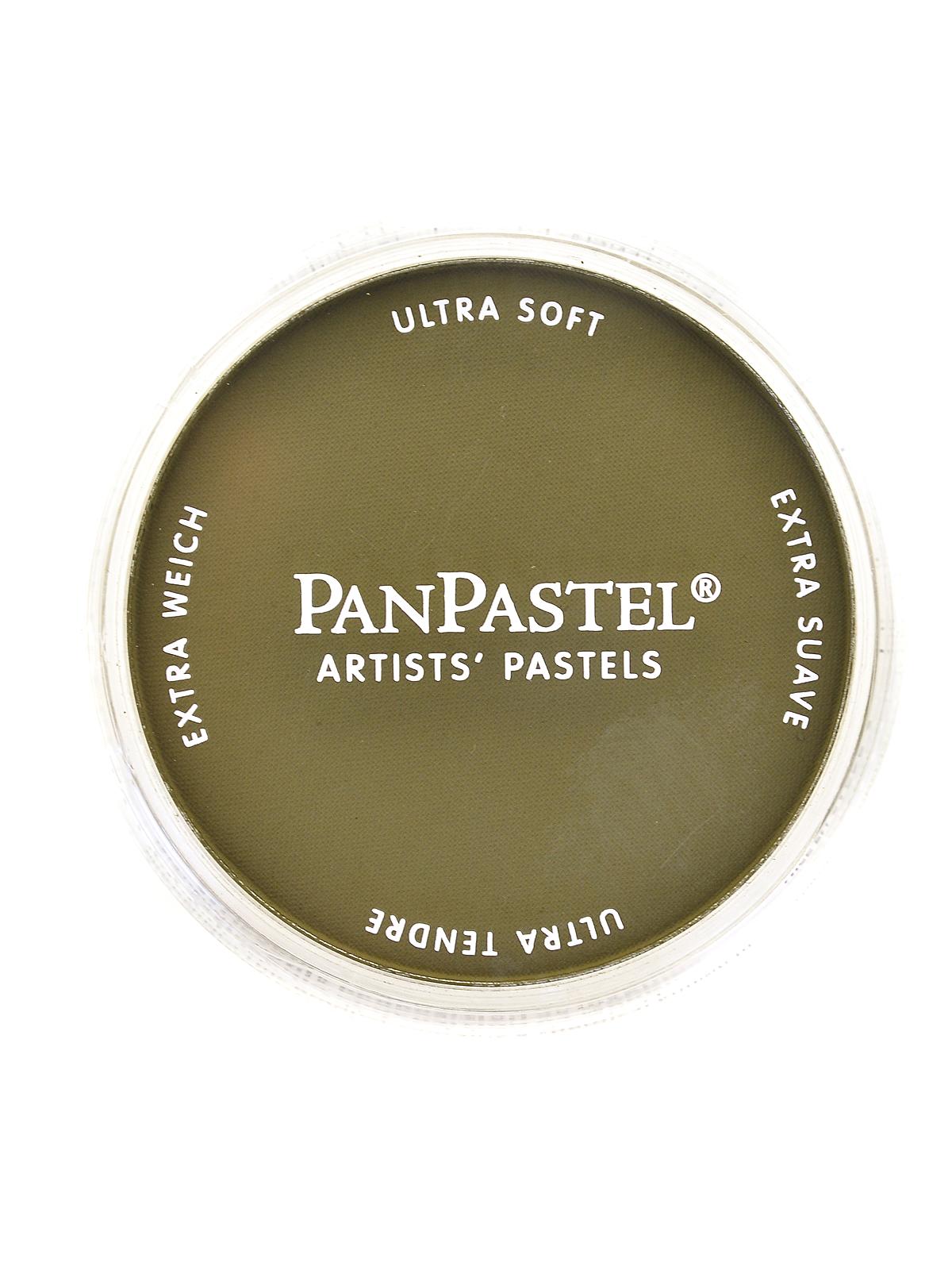 Artists' Pastels yellow ochre extra dark 270.1 9 ml