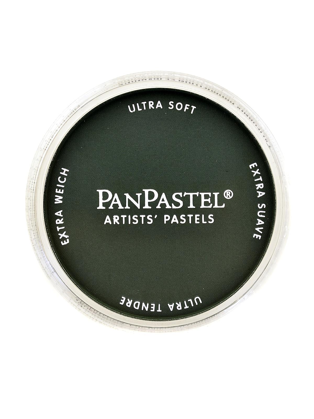 Artists' Pastels permanent green extra dark 640.1 9 ml