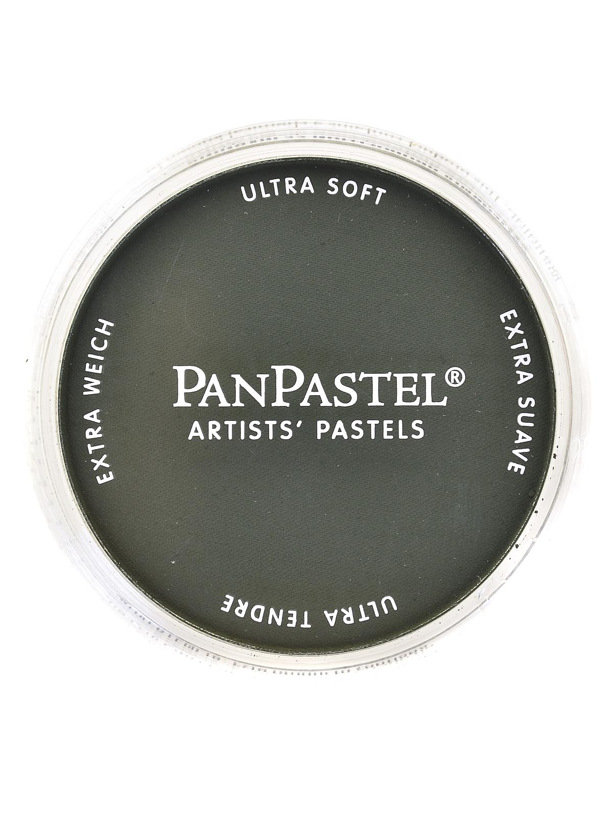 Artists' Pastels chromium oxide green extra dark 660.1 9 ml