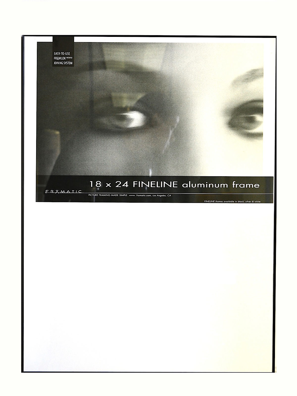 Fineline Aluminum Frames Black 18 In. X 24 In.