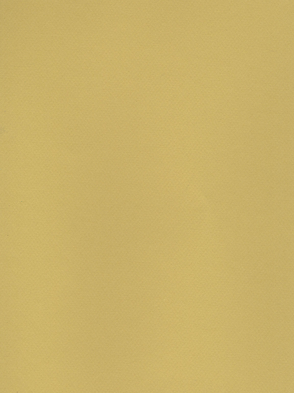 Mi-teintes Tinted Paper Anise 19 In. X 25 In.
