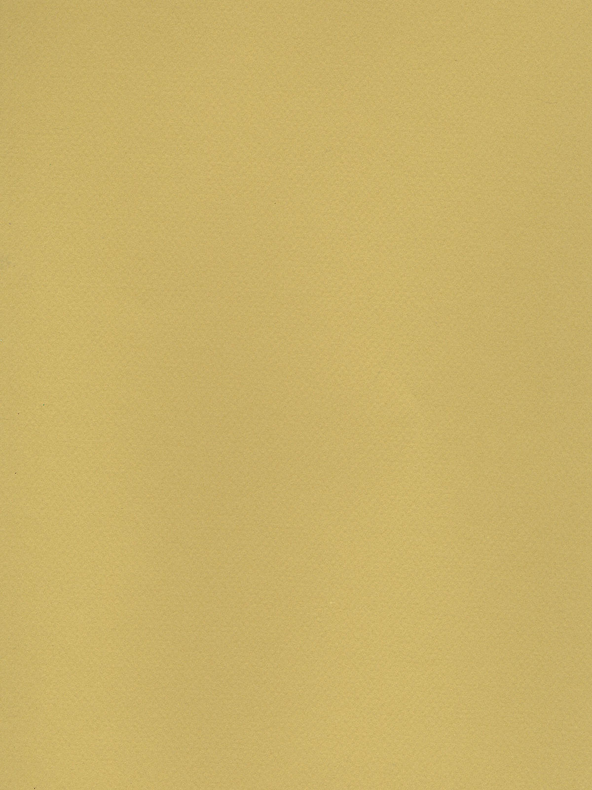Mi-Teintes Tinted Paper anise 19 in. x 25 in.