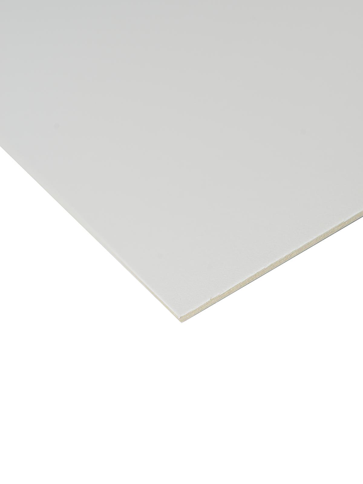 Cold Press Illustration Boards no. 110 20 in. x 30 in. each
