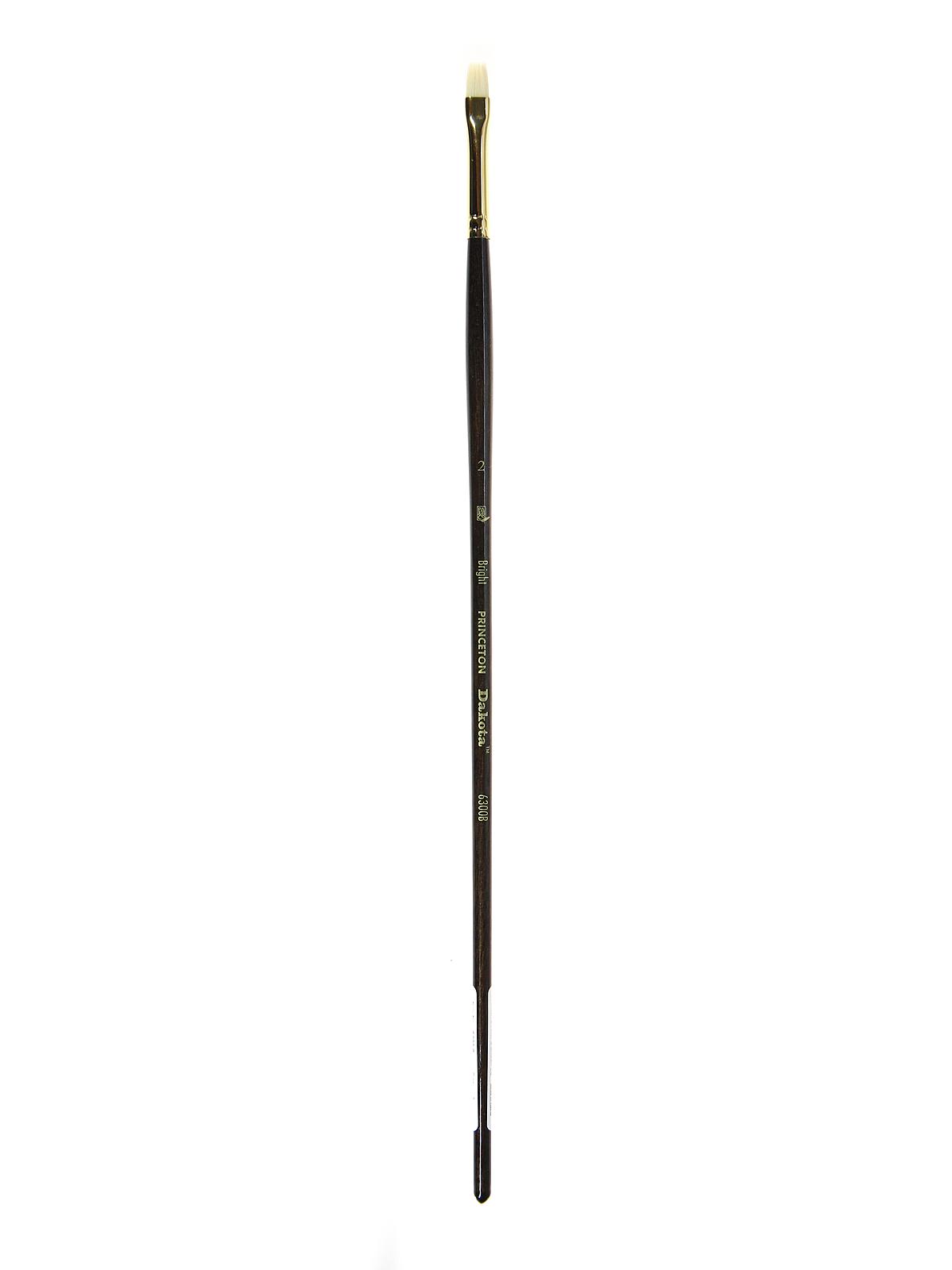 Series 6300 Dakota Synthetic Bristle Long Handle Brushes 2 bright