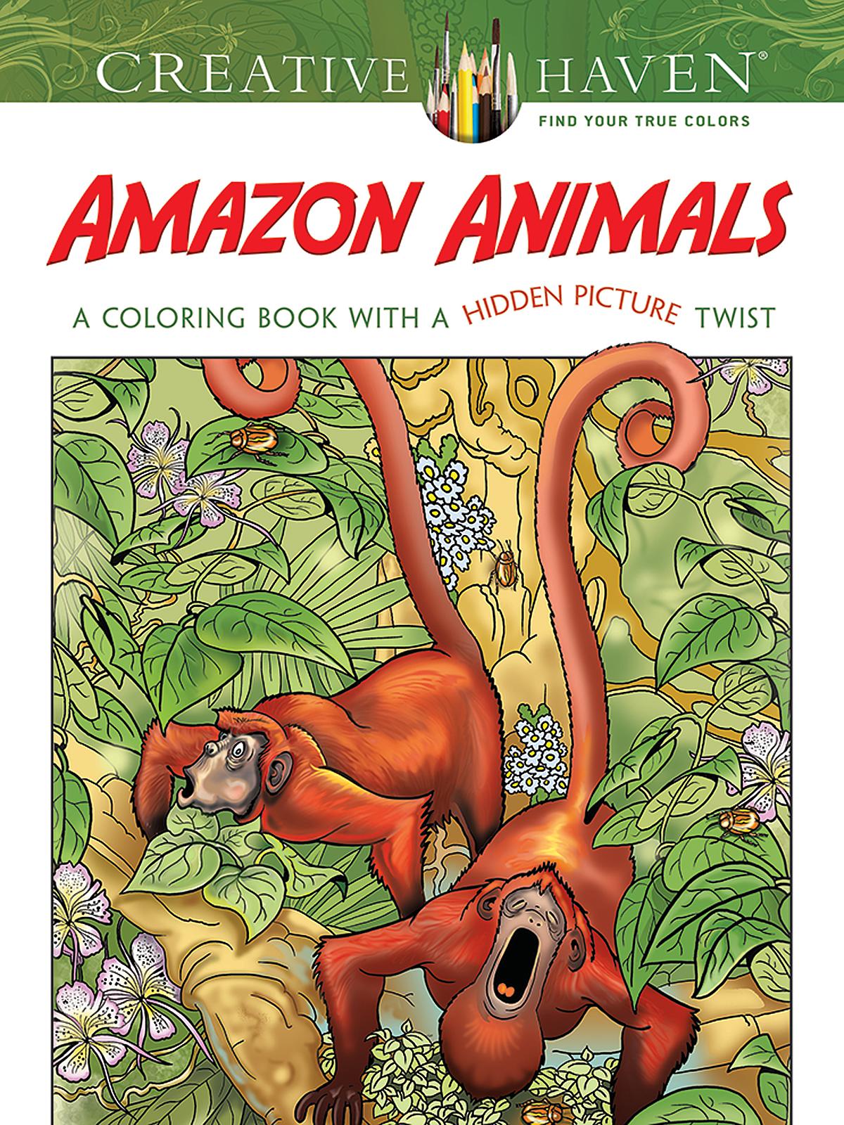 Creative Haven Hidden Picture Twist Amazon Animals
