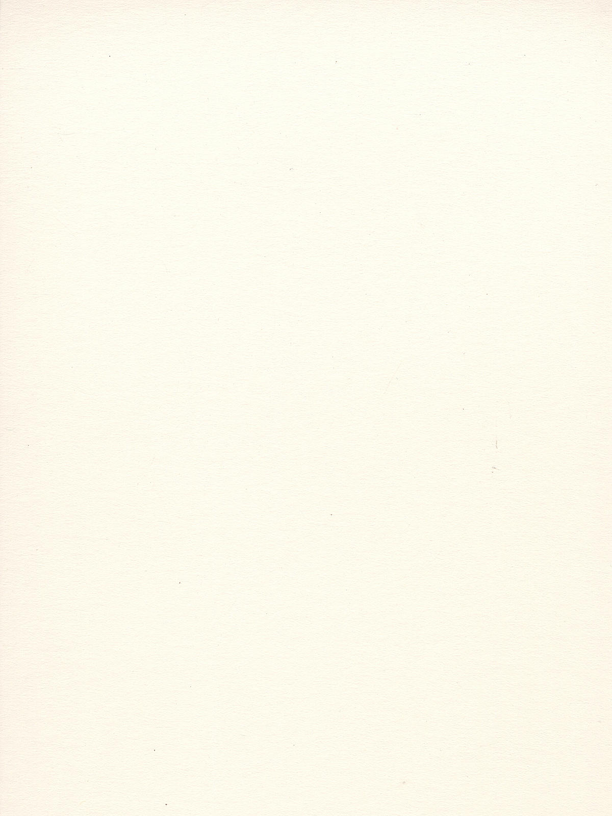 Cold Press Illustration Boards no. 99 20 in. x 30 in. each