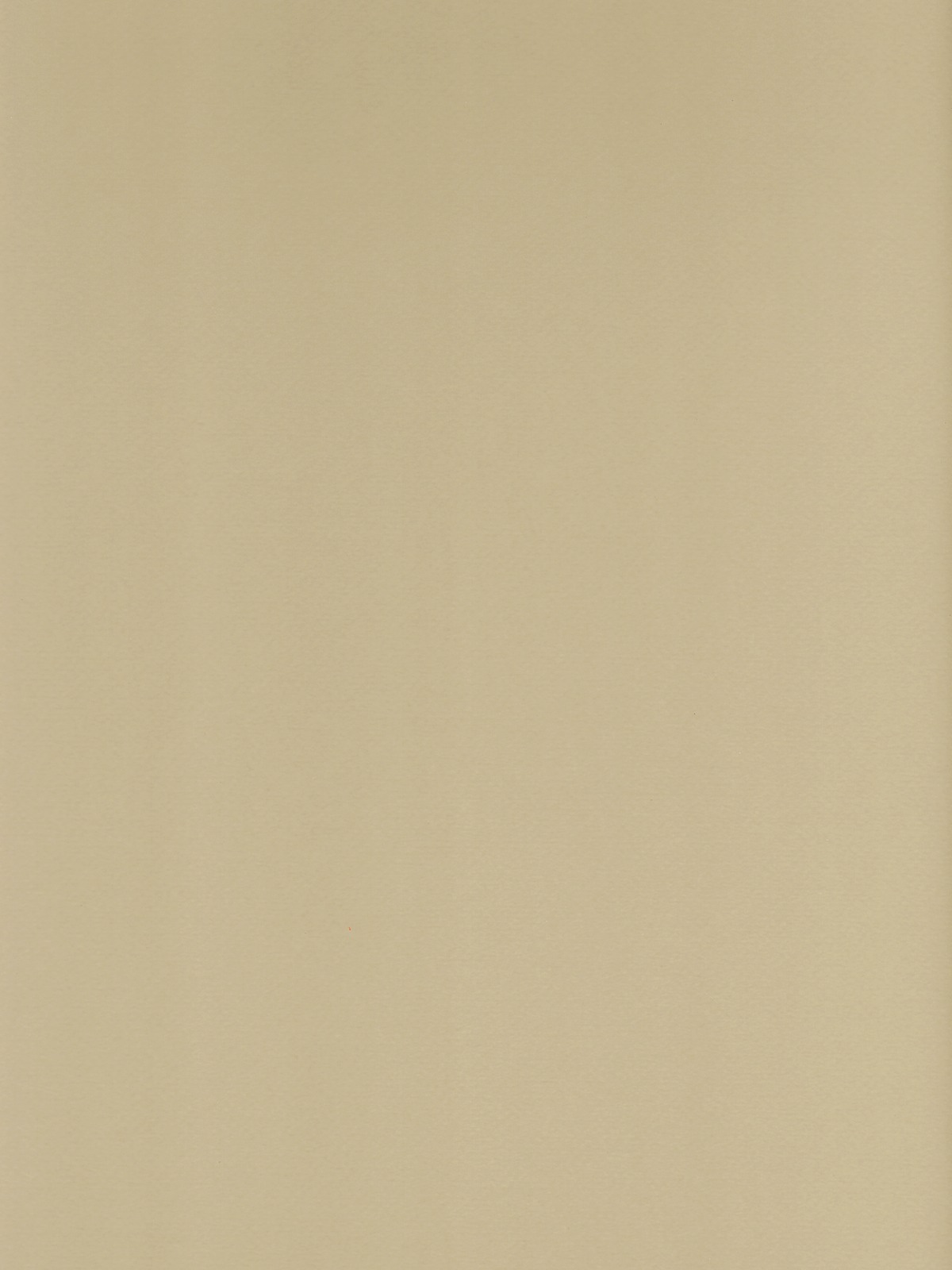 Mi-Teintes Mat Board pearl 16 in. x 20 in.