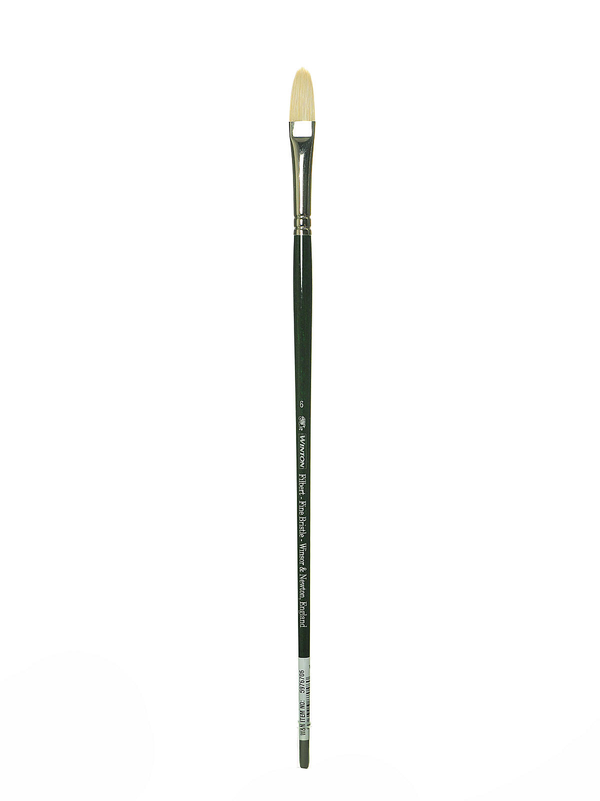 Winton Hog Brushes 6 filbert