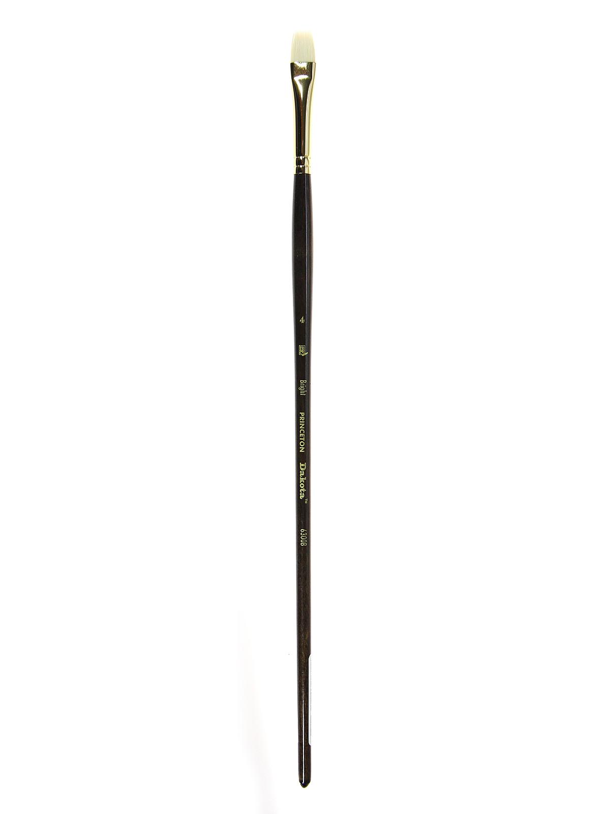 Series 6300 Dakota Synthetic Bristle Long Handle Brushes 4 bright