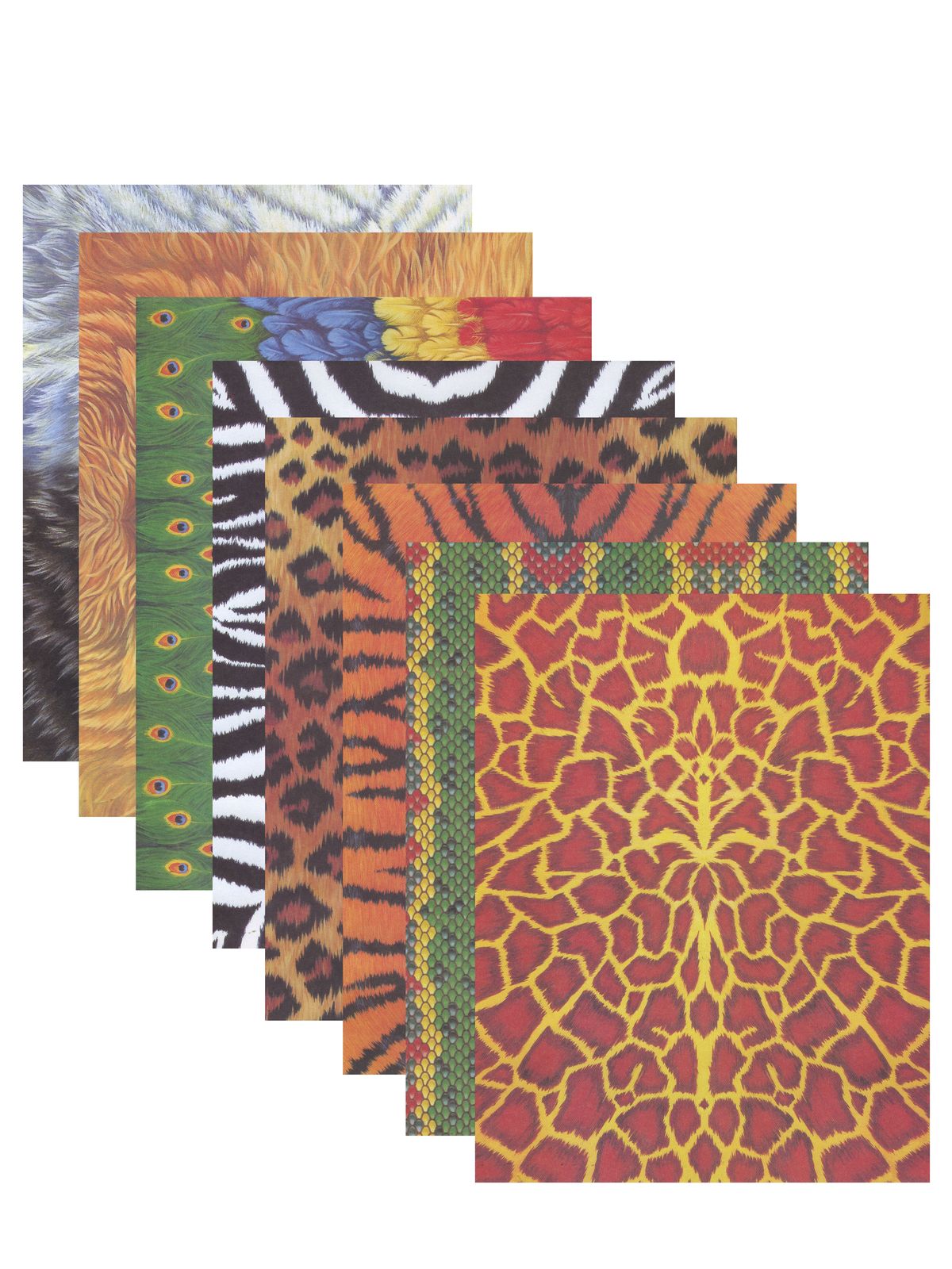 Amazing Animal Paper pack of 40
