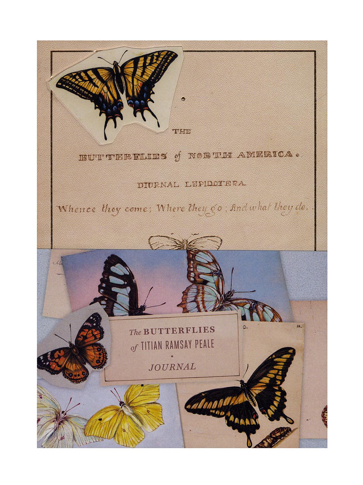 The Butterflies Of Titian Ramsey Peale Journal Each