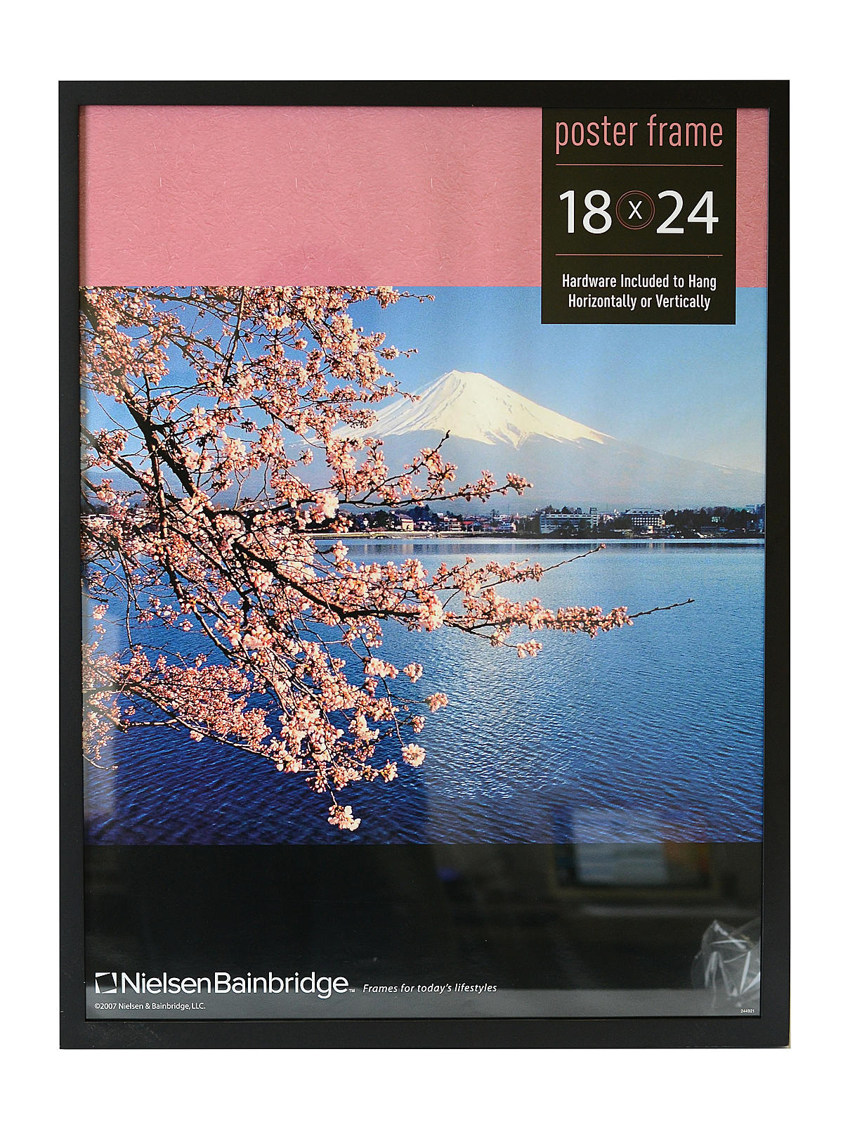 Tribeca Poster Frame 18 in. x 24 in.
