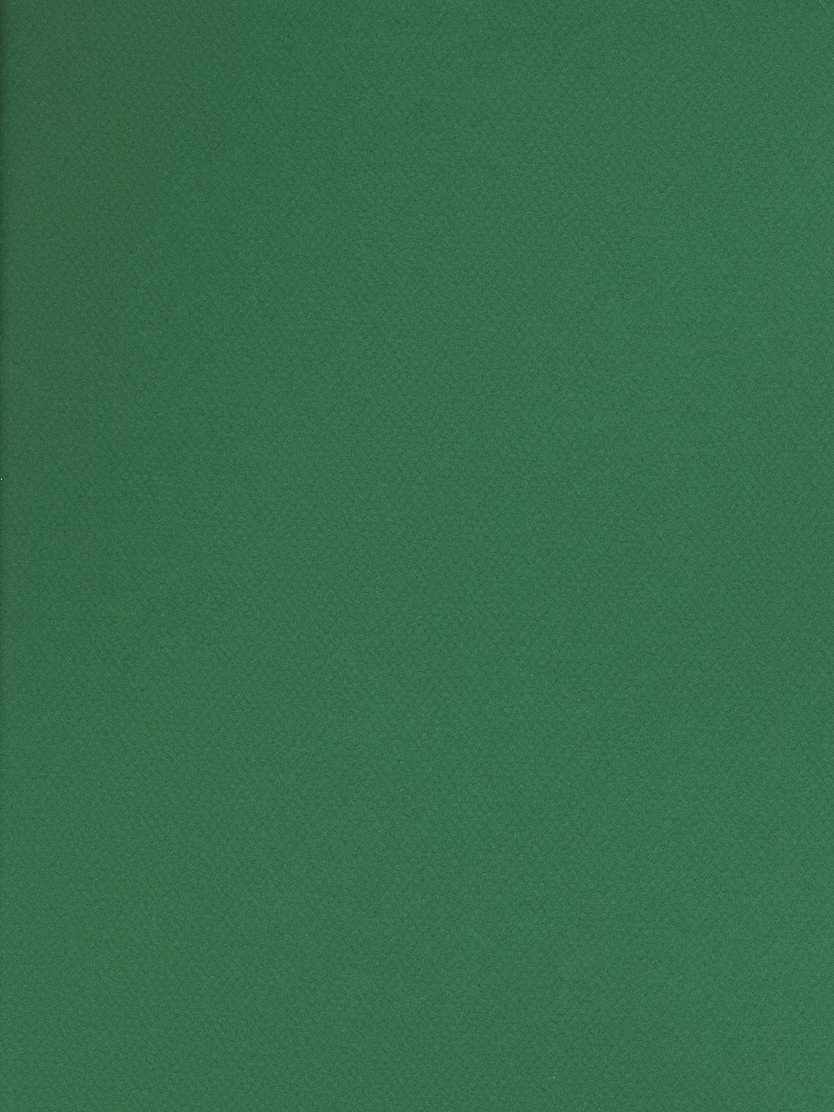 Mi-Teintes Tinted Paper viridian 19 in. x 25 in.