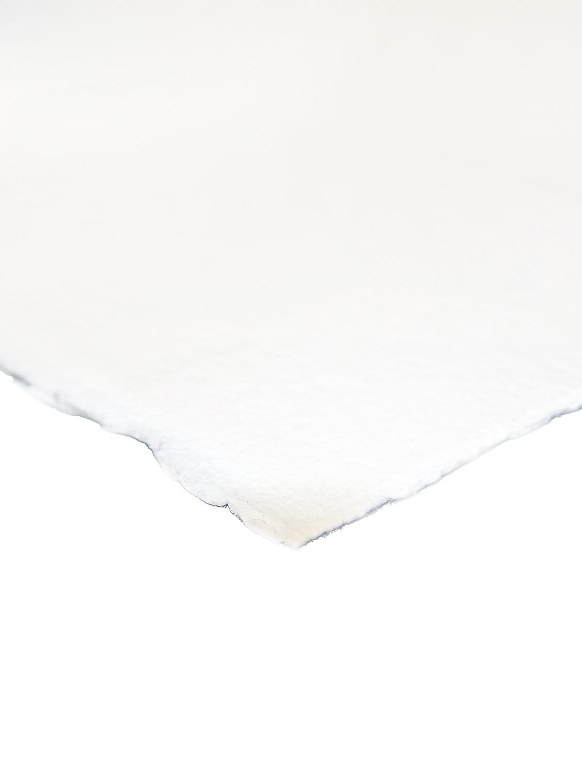Watercolor Paper 300 lb. rough white 40 in. x 60 in. sheet