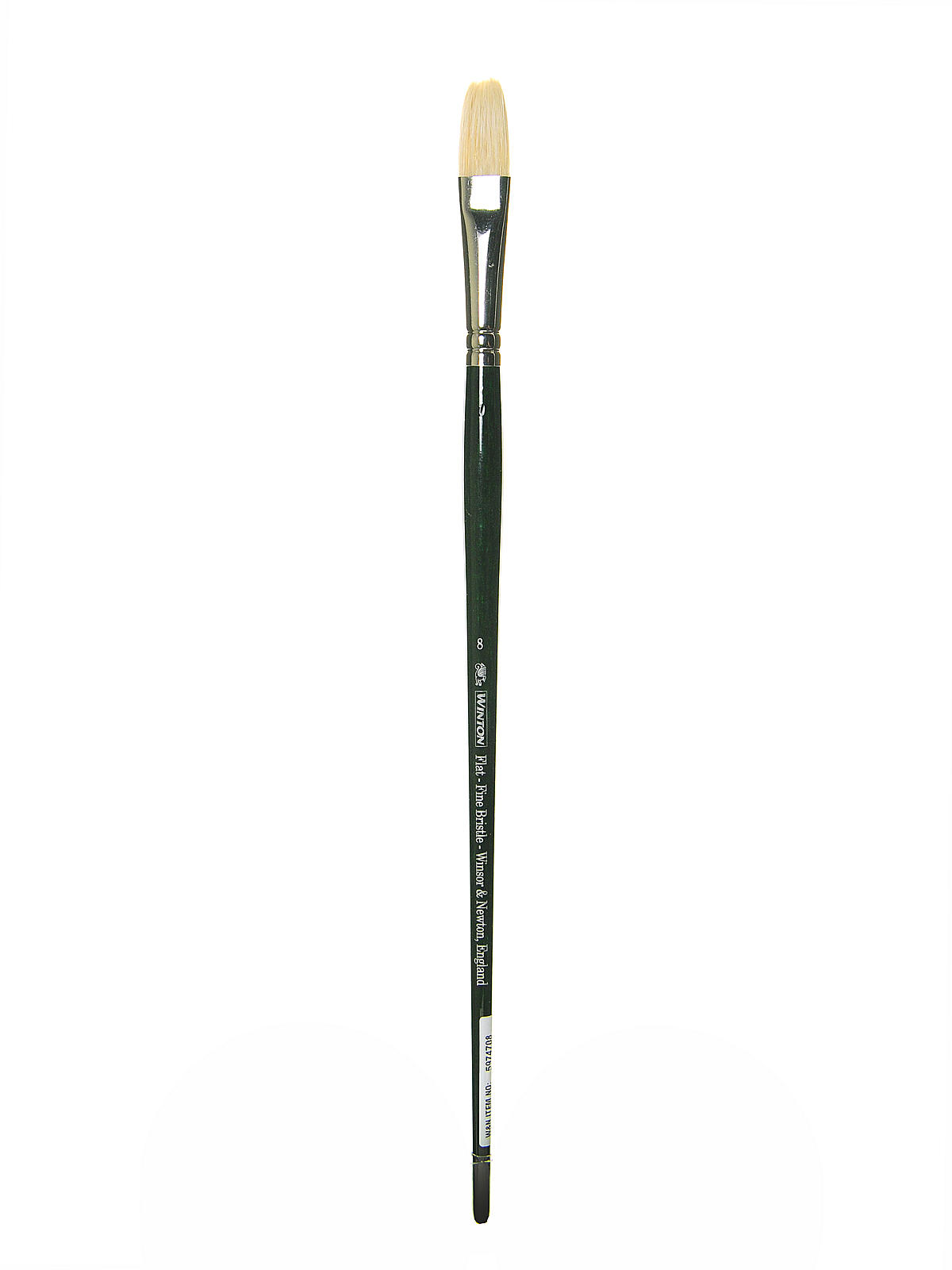 Winton Hog Brushes 8 long flat