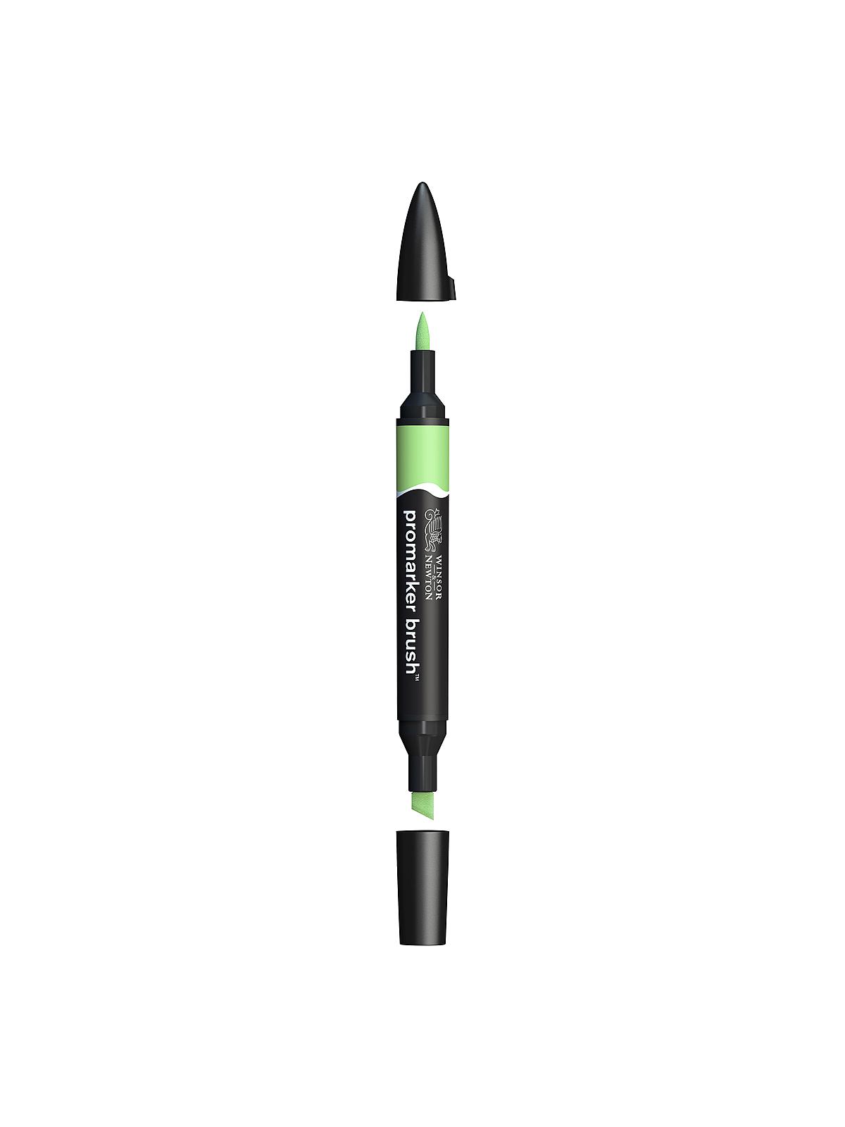 Promarker Brush apple
