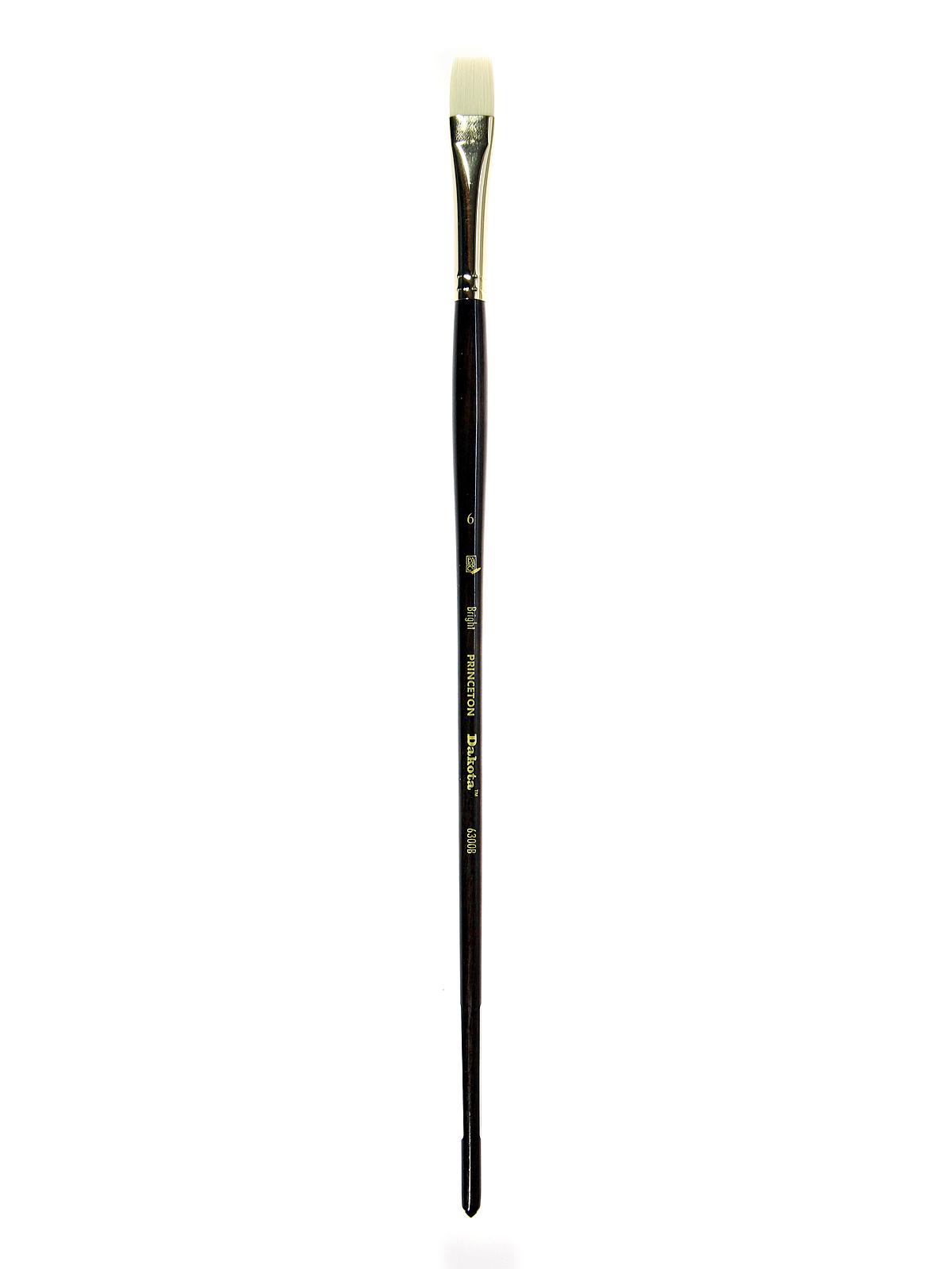 Series 6300 Dakota Synthetic Bristle Long Handle Brushes 6 bright