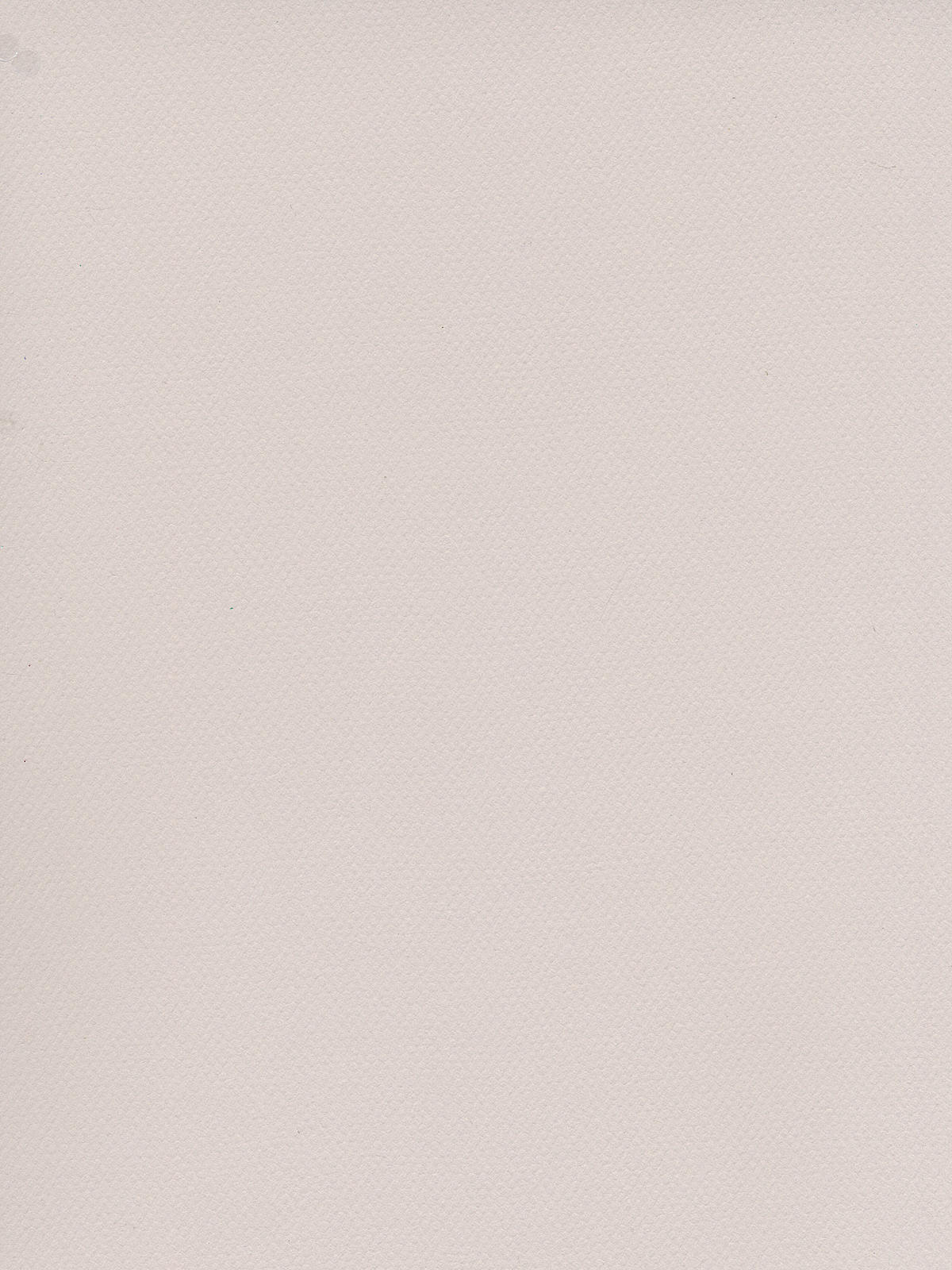 Mi-teintes Tinted Paper Pearl Grey 19 In. X 25 In.