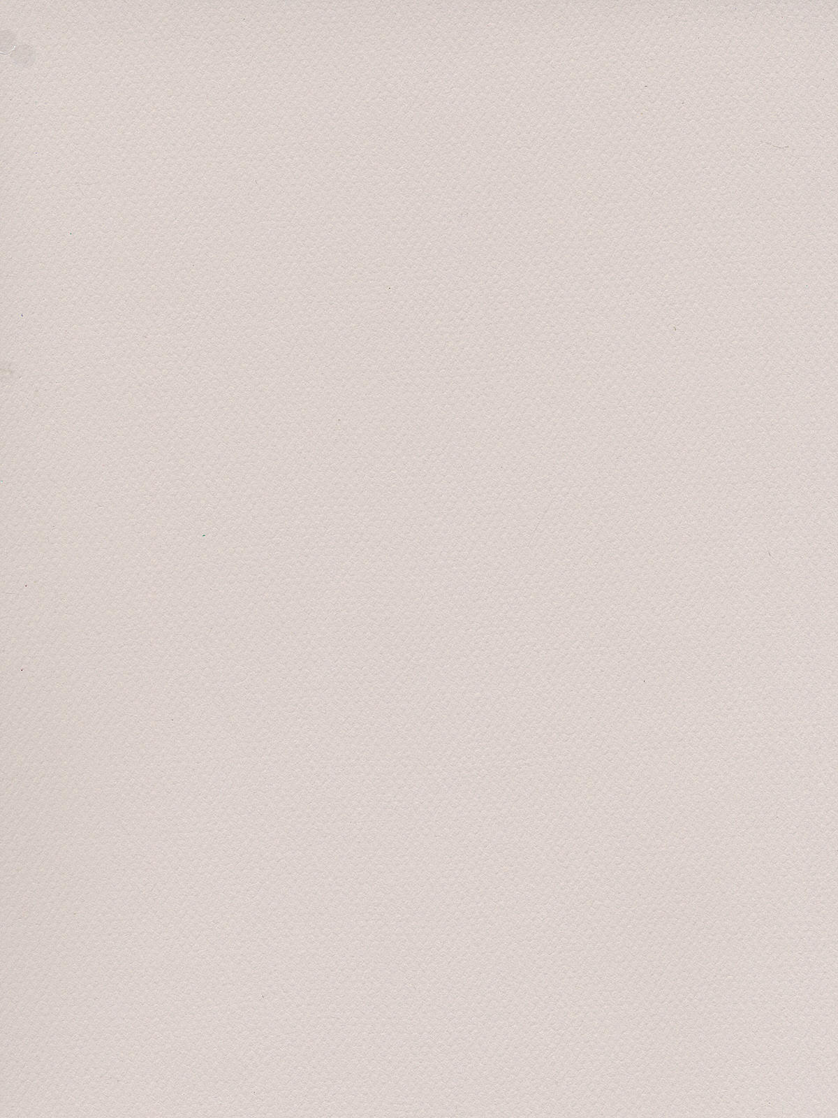 Mi-Teintes Tinted Paper pearl grey 19 in. x 25 in.