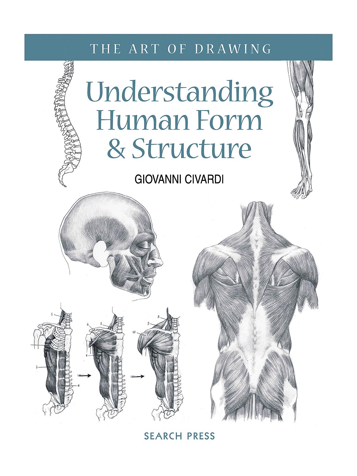Understanding Human Form & Structure Each
