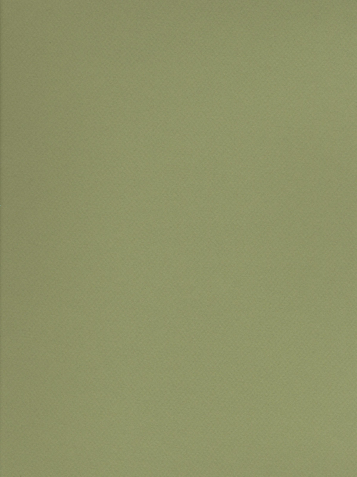 Mi-Teintes Tinted Paper light green 19 in. x 25 in.