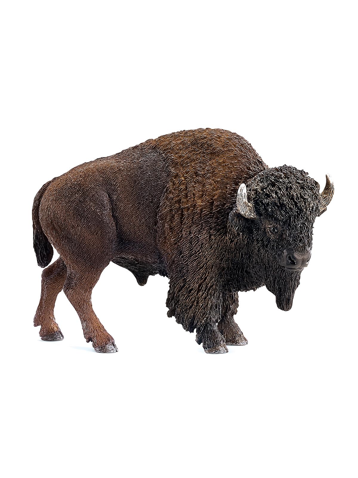 Wild Life Animals American Bison