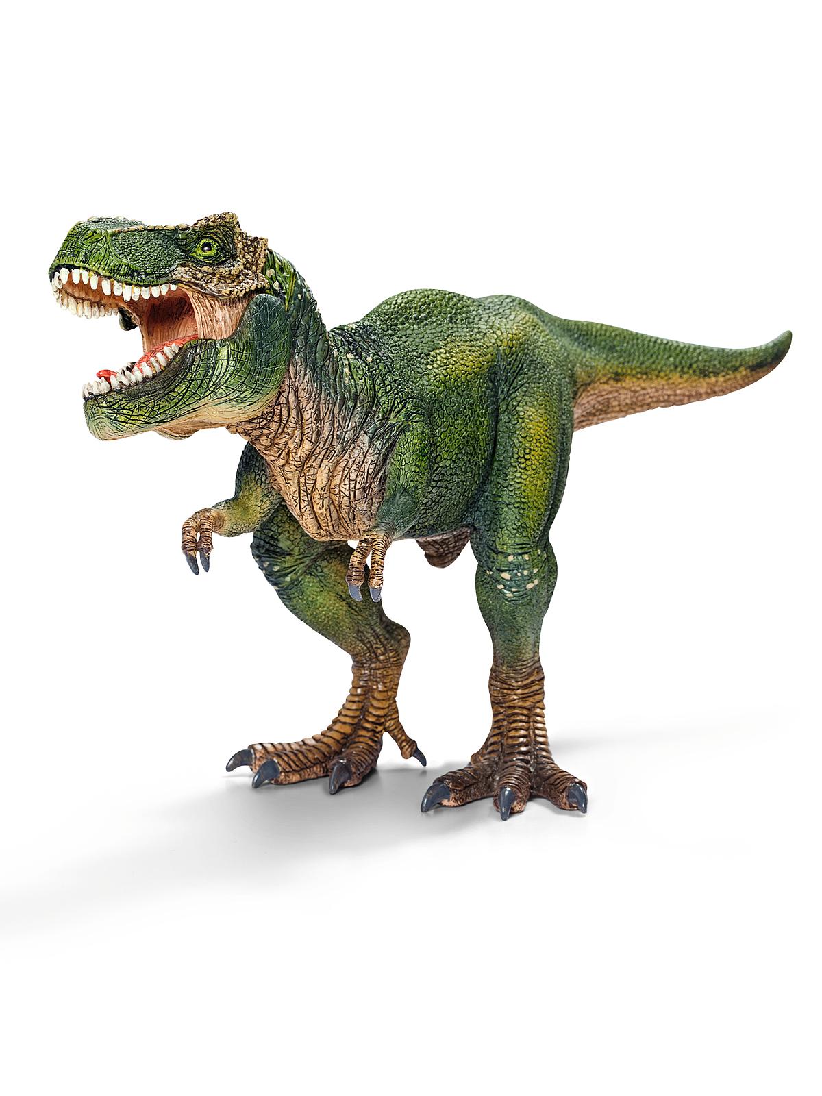 Dinosaurs Tyrannosaurus Rex, juvenile