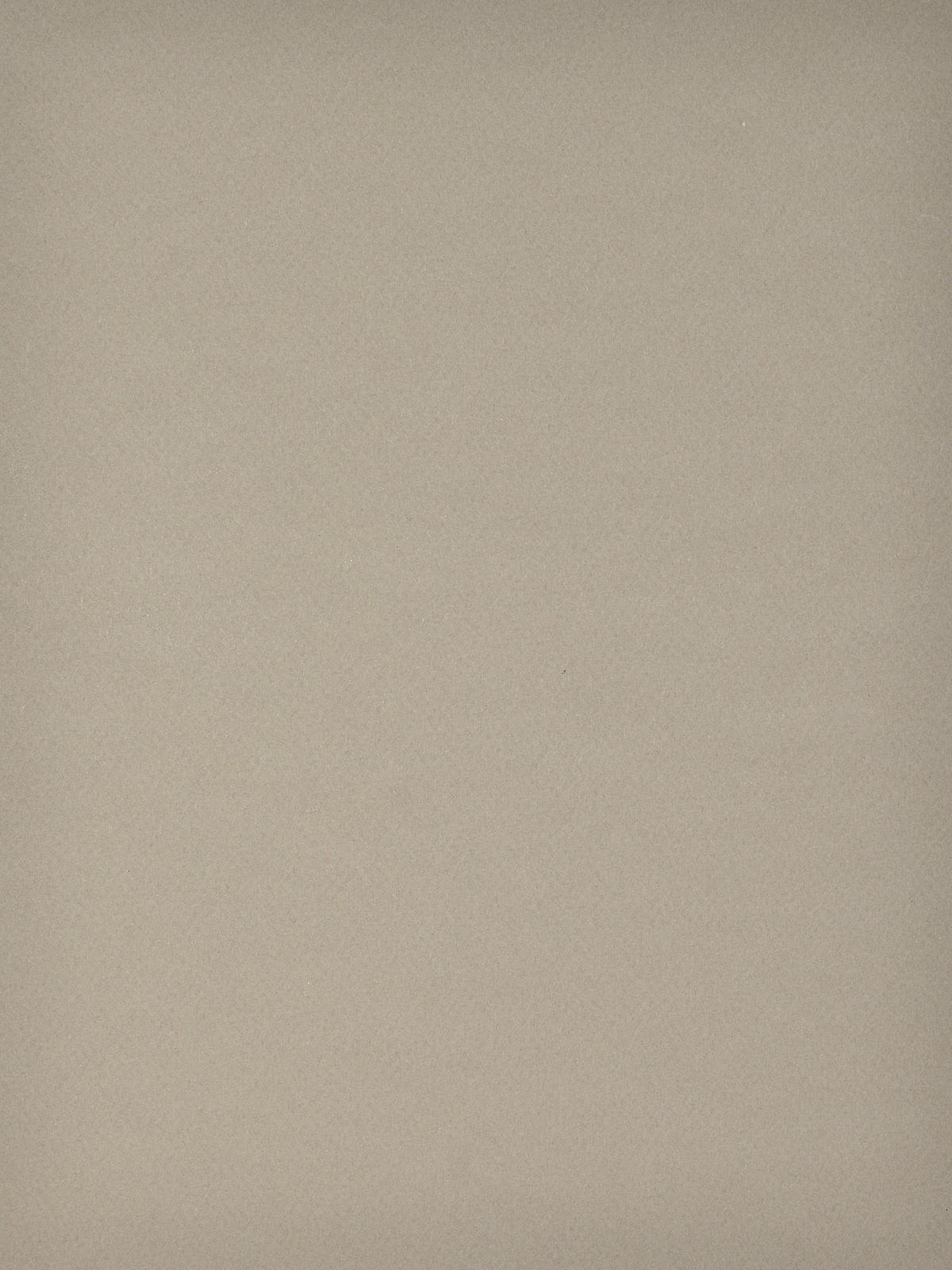 Mi-teintes Tinted Paper Sand 8.5 In. X 11 In.