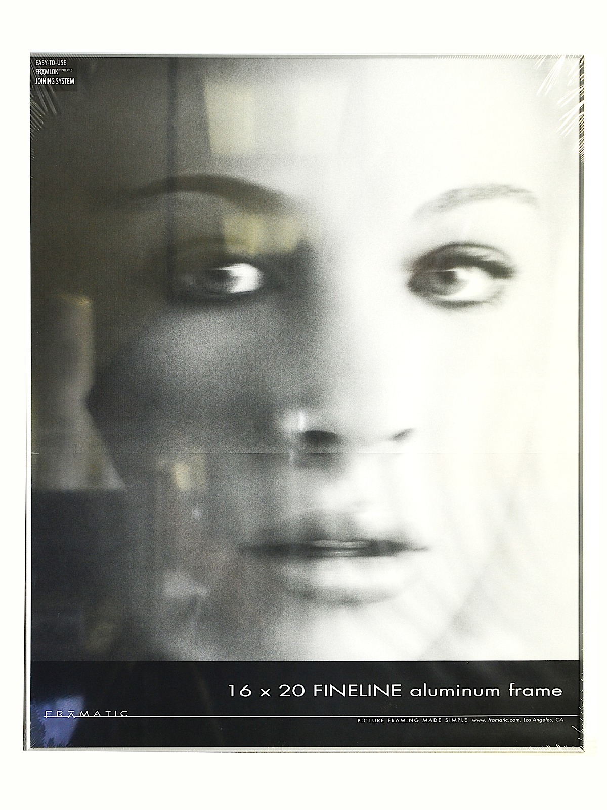 Fineline Aluminum Frames silver 16 in. x 20 in.