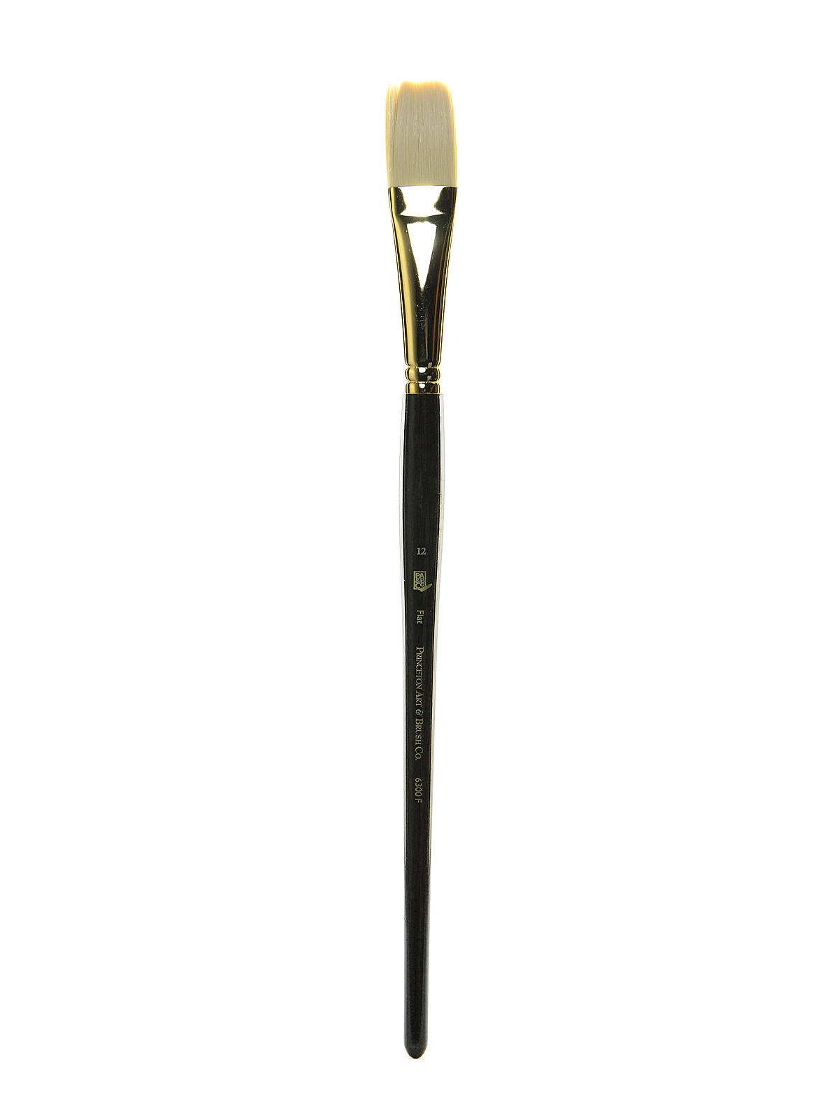 Series 6300 Dakota Synthetic Bristle Long Handle Brushes 12 flat
