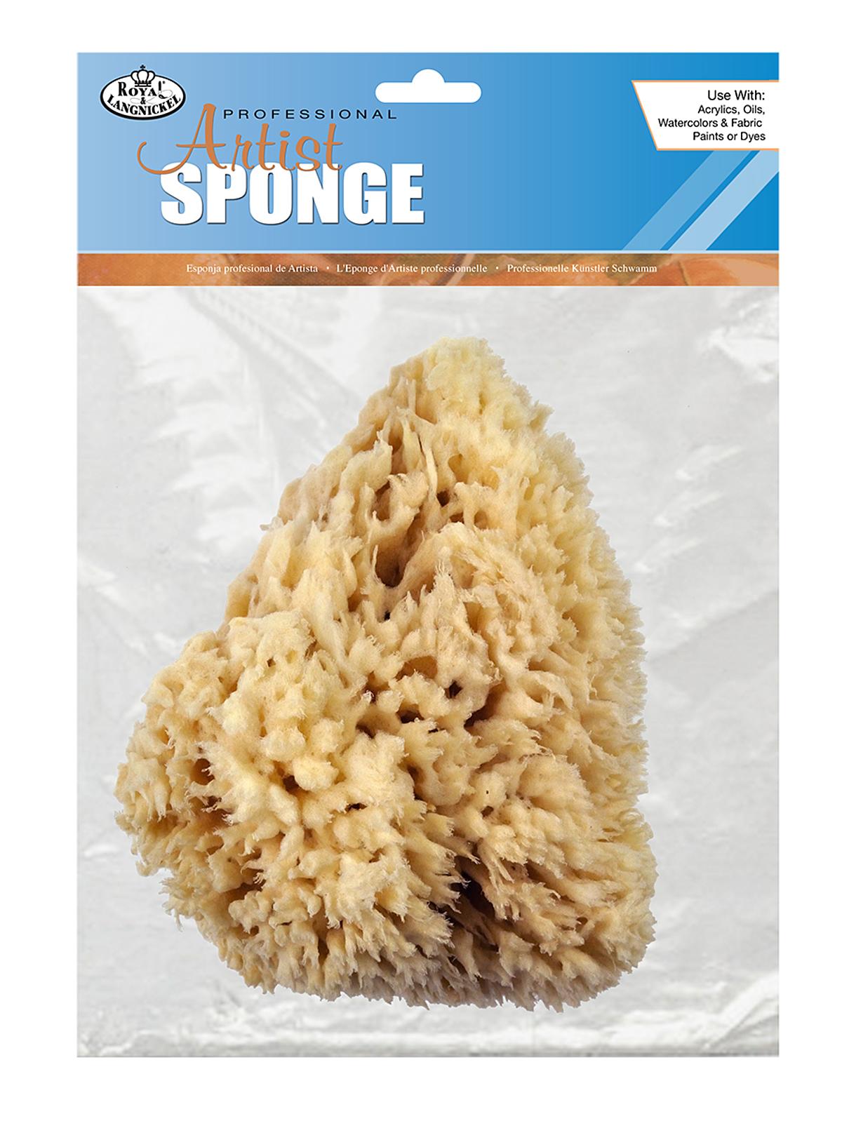 Natural Sponges wool sponge 6 1 2 in. x 7 in.