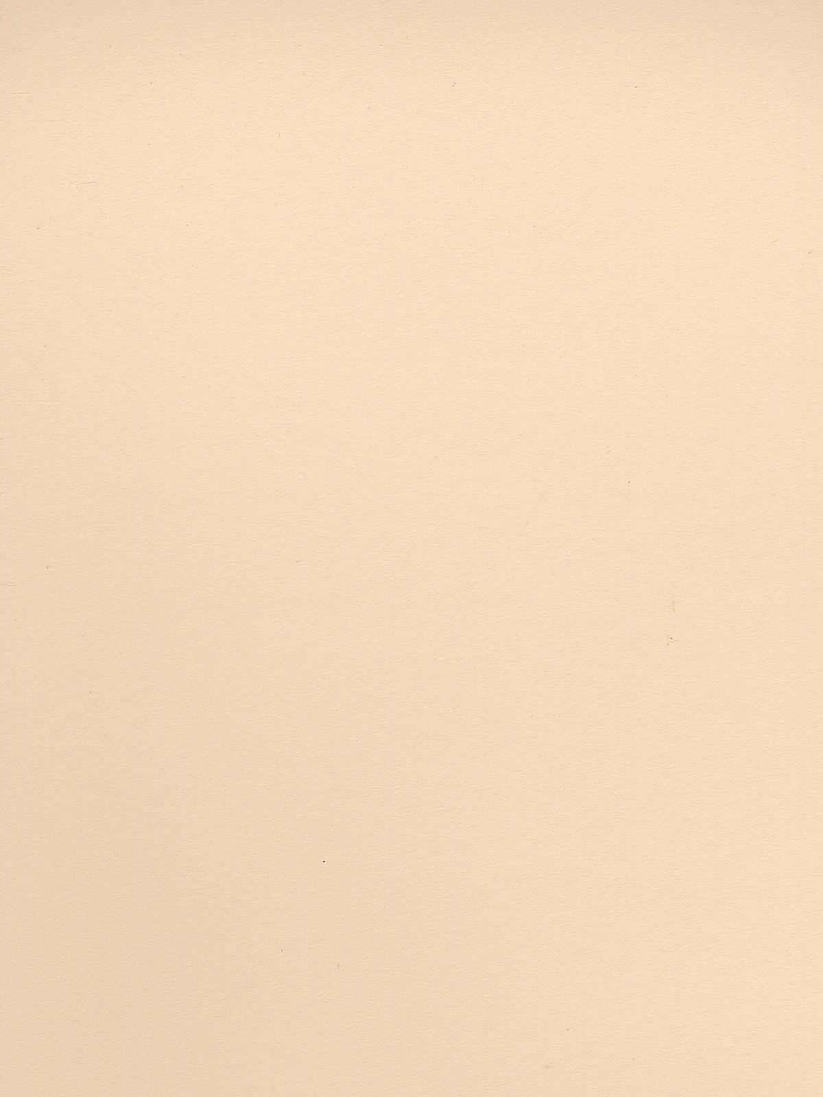 Berkshire Mat Board palm 32 in. x 40 in. cream core