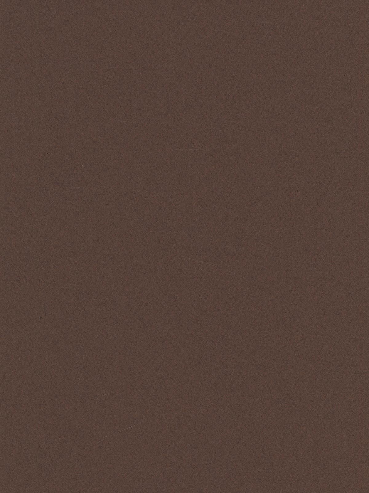 Mi-Teintes Tinted Paper tobacco 8.5 in. x 11 in.