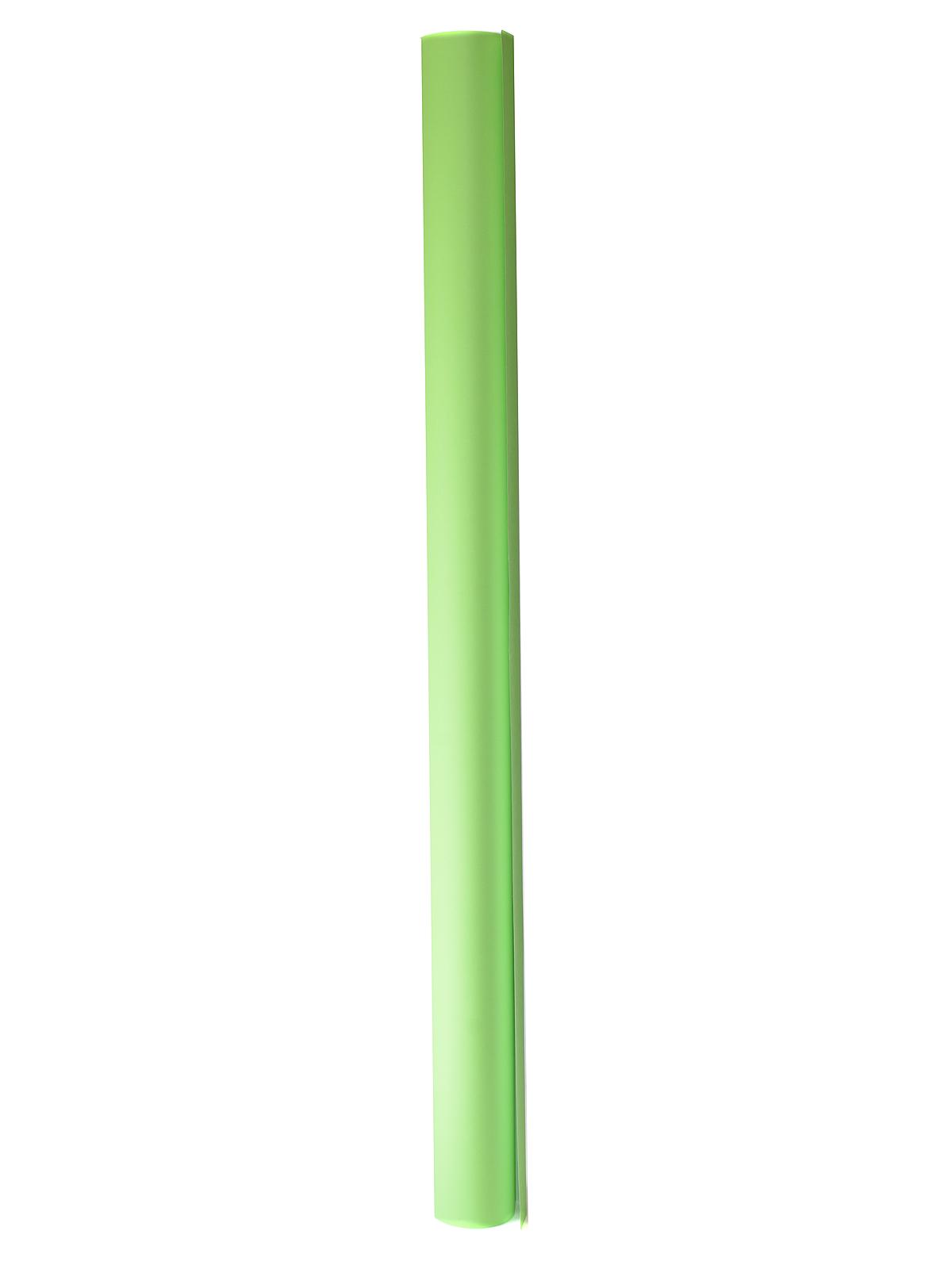 Fadeless Colored Paper Rolls lite green 48 in. x 50 ft.