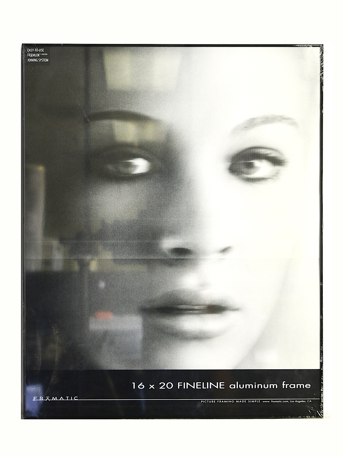 Fineline Aluminum Frames black 16 in. x 20 in.