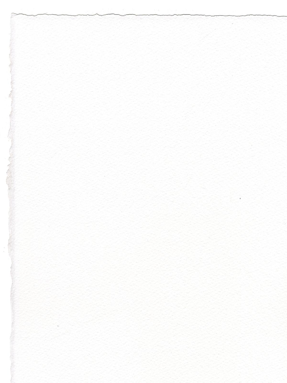 Watercolor Paper 140 Lb. Rough Bright White 22 In. X 30 In. Sheet