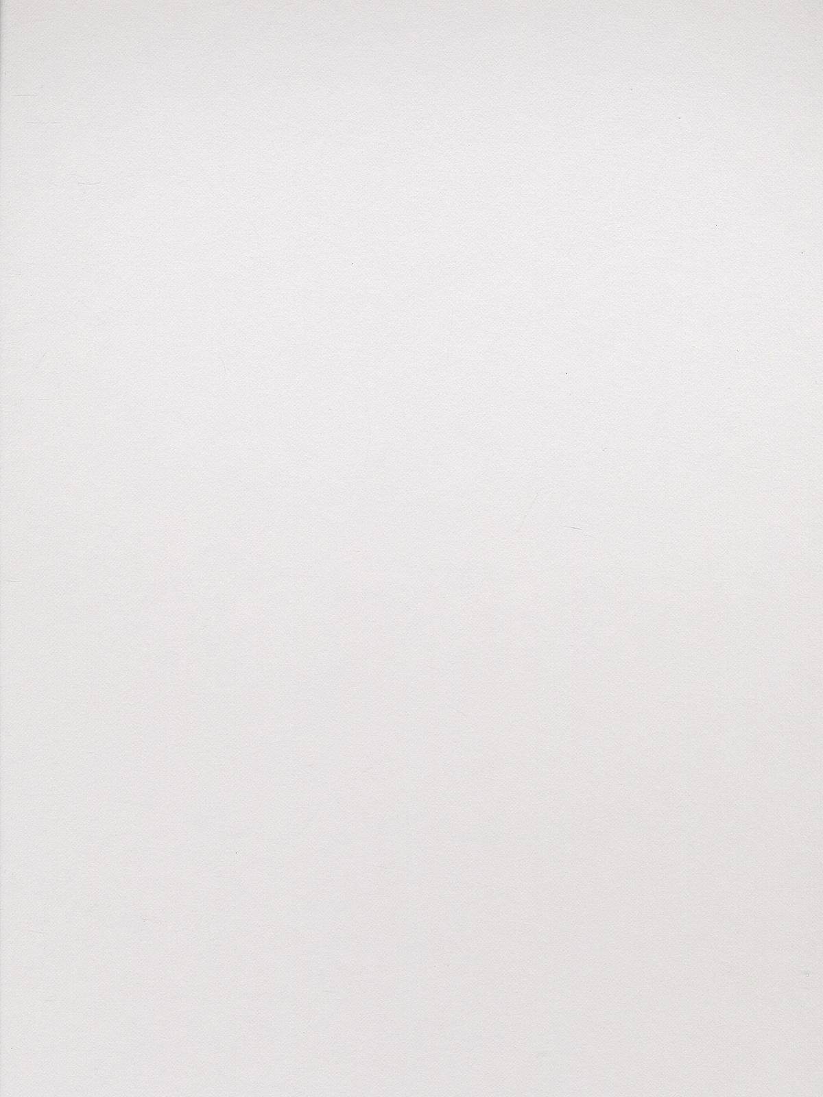 Berkshire Mat Board polar white 32 in. x 40 in. black core
