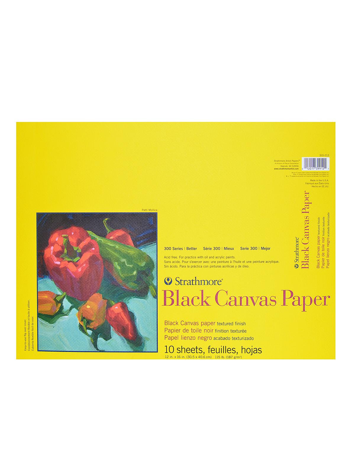300 Series Black Canvas Paper 12 In. X 16 In. 10 Sheets