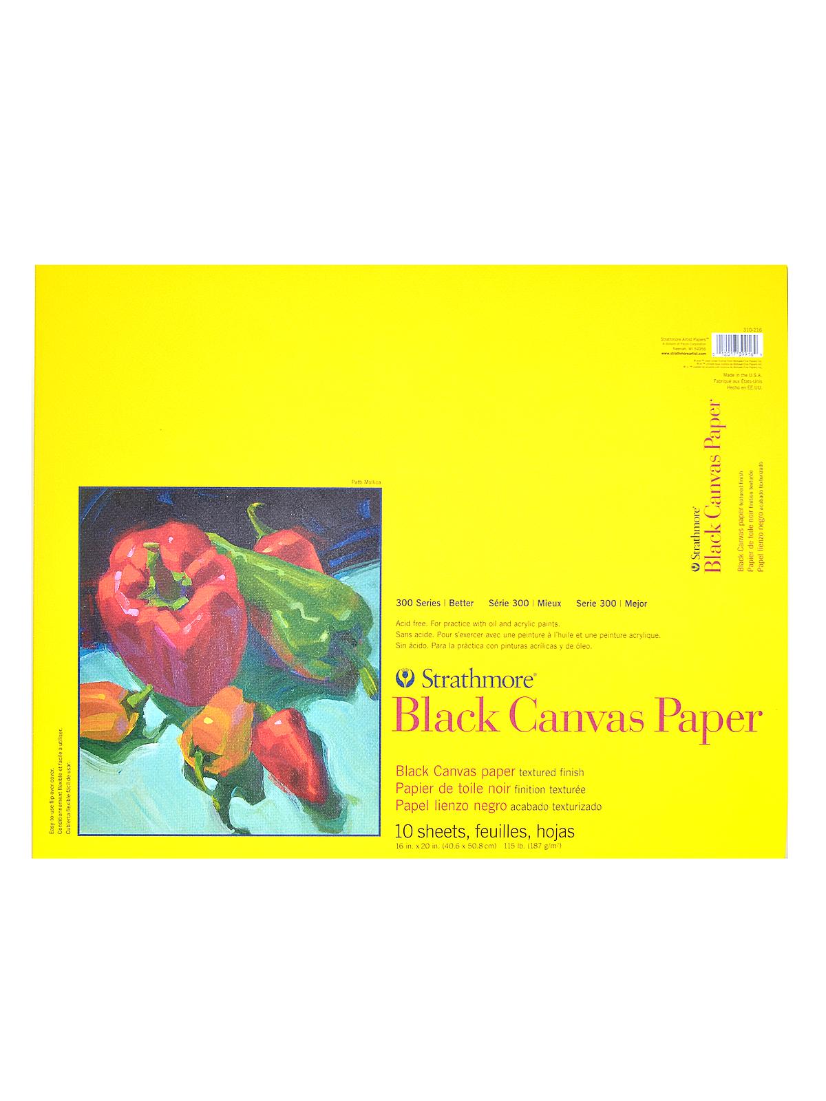 300 Series Black Canvas Paper 16 in. x 20 in. 10 sheets