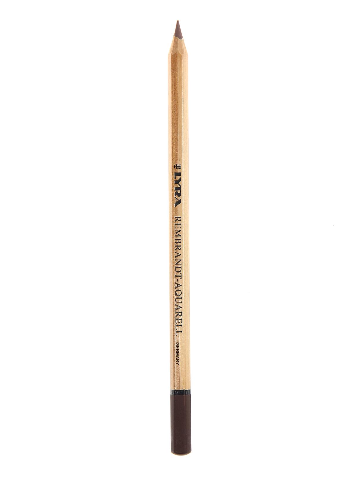 Rembrandt Polycolor Pencils van dyck brown