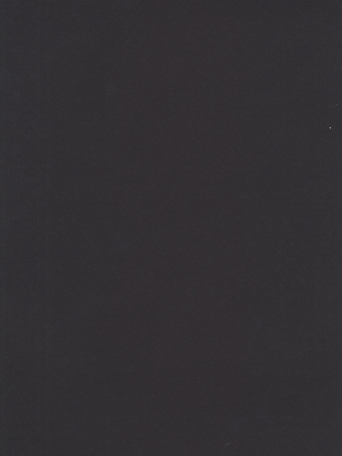 Peacock Railroad Board black 4 ply each