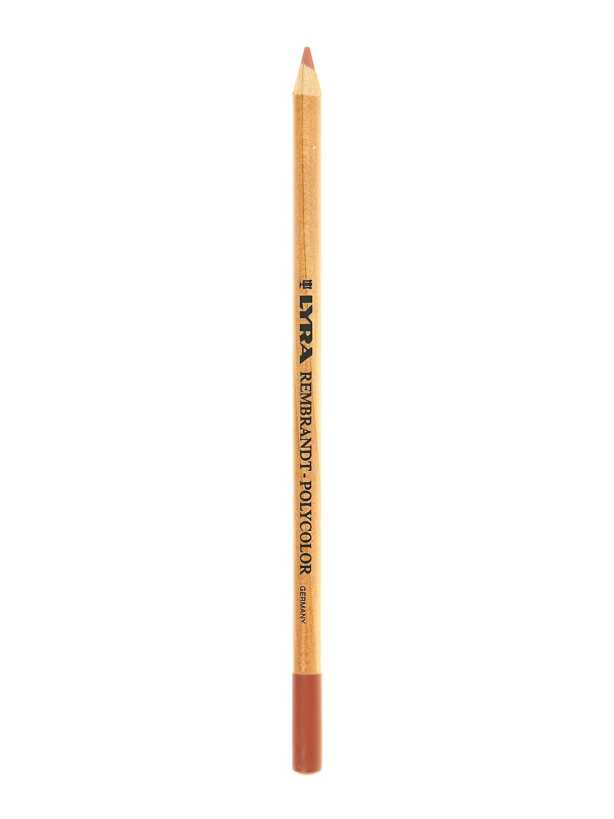 Rembrandt Polycolor Pencils cinnamon